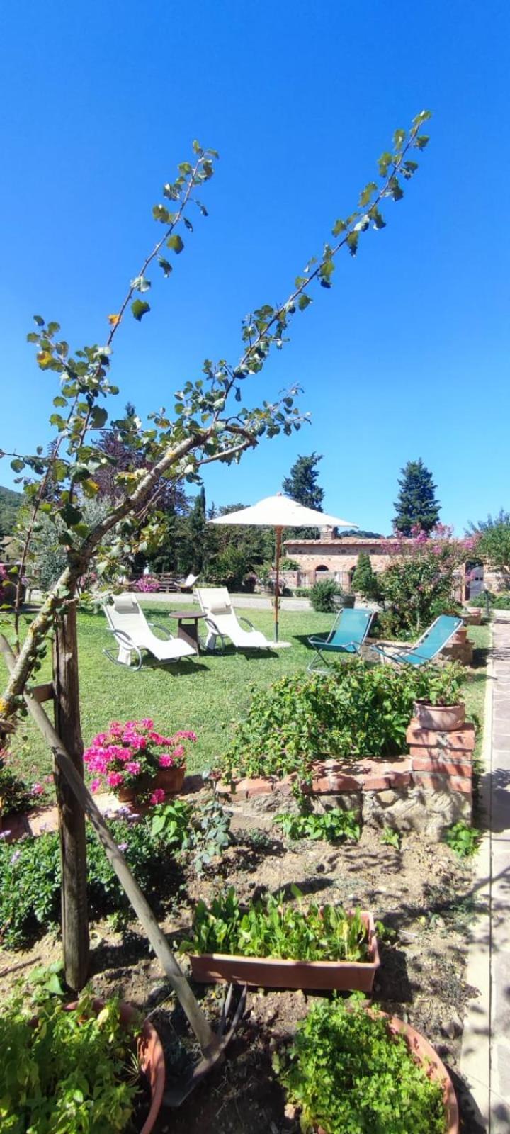 Agriturismo Il Pozzo Castiglione dʼOrcia Zewnętrze zdjęcie